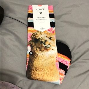 Llama Stance socks